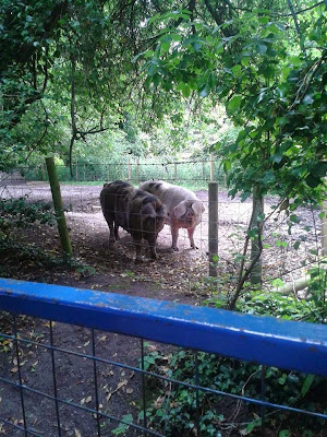 Riverbourne Community Farm