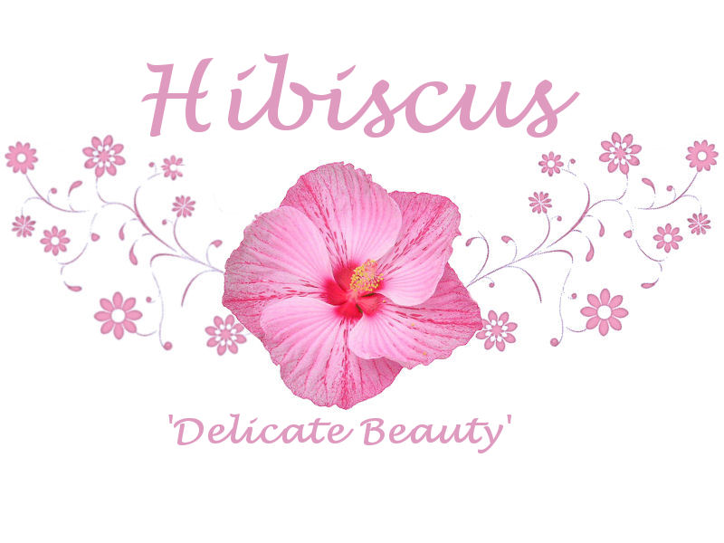 Hibiscus