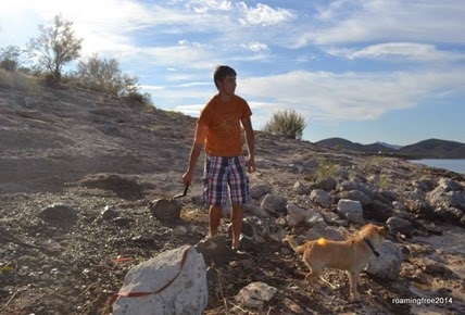 Waiting for Nicolas to throw the stick!