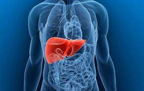 Chronic Liver Diseases Therapeutics