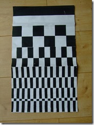 DSCF2520
