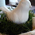A spring table