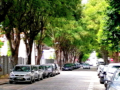 Avenida Dom Afonso Henriques