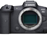 Canon EOS R5 Mirrorless Advanced User Manual pdf