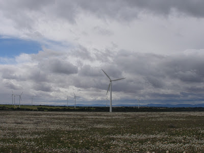 aerogeneradores  NEG MICON La Plana Cadrete