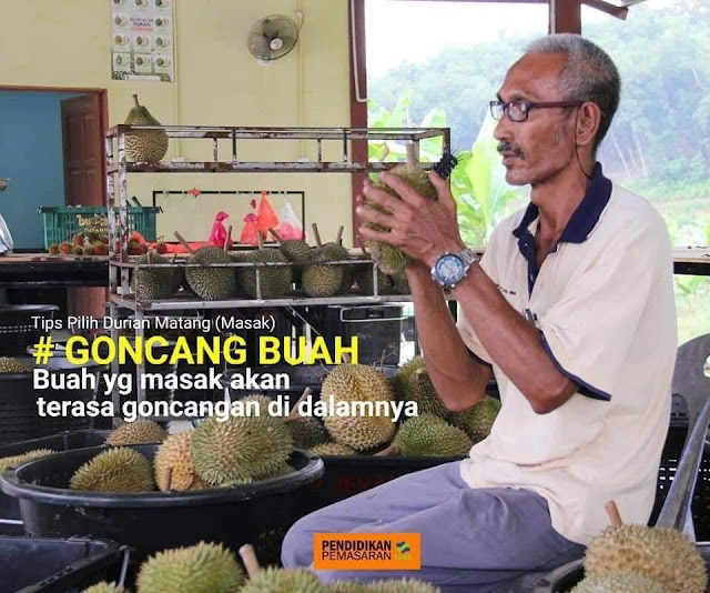 Goncang Buah