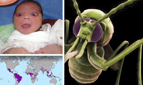 Incurable virus causing babies with shrunken heads spreads across globe alarmingly fast 