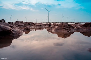 Wind electricity farm in Bac Lieu