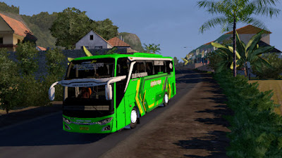 Livery Rimba Raya for Jetbus 3+ SHD HINO RK8 Adudu Cvt Diny V1 by Fayaz