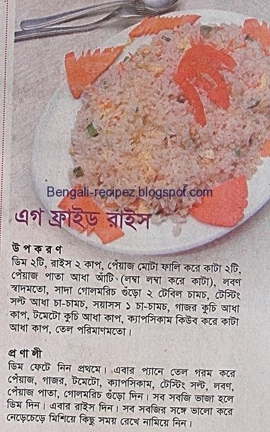 Egg fried Rice in bangla  Bengali Recipes