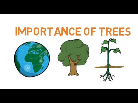 10 Lines on Importance of Trees in English | Few Important Lines on Importance of Trees in English