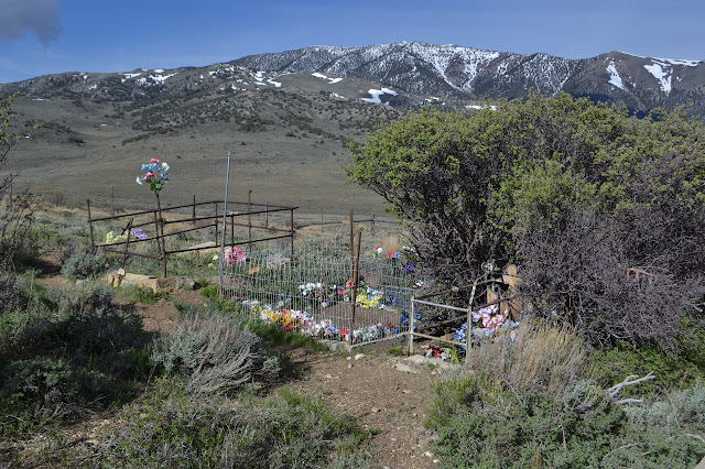 plastic flowers and cleared of shrubs