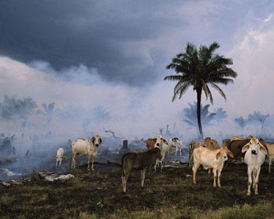 Rondônia, Brasil