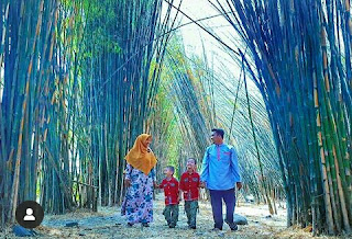 hutan bambu keputih