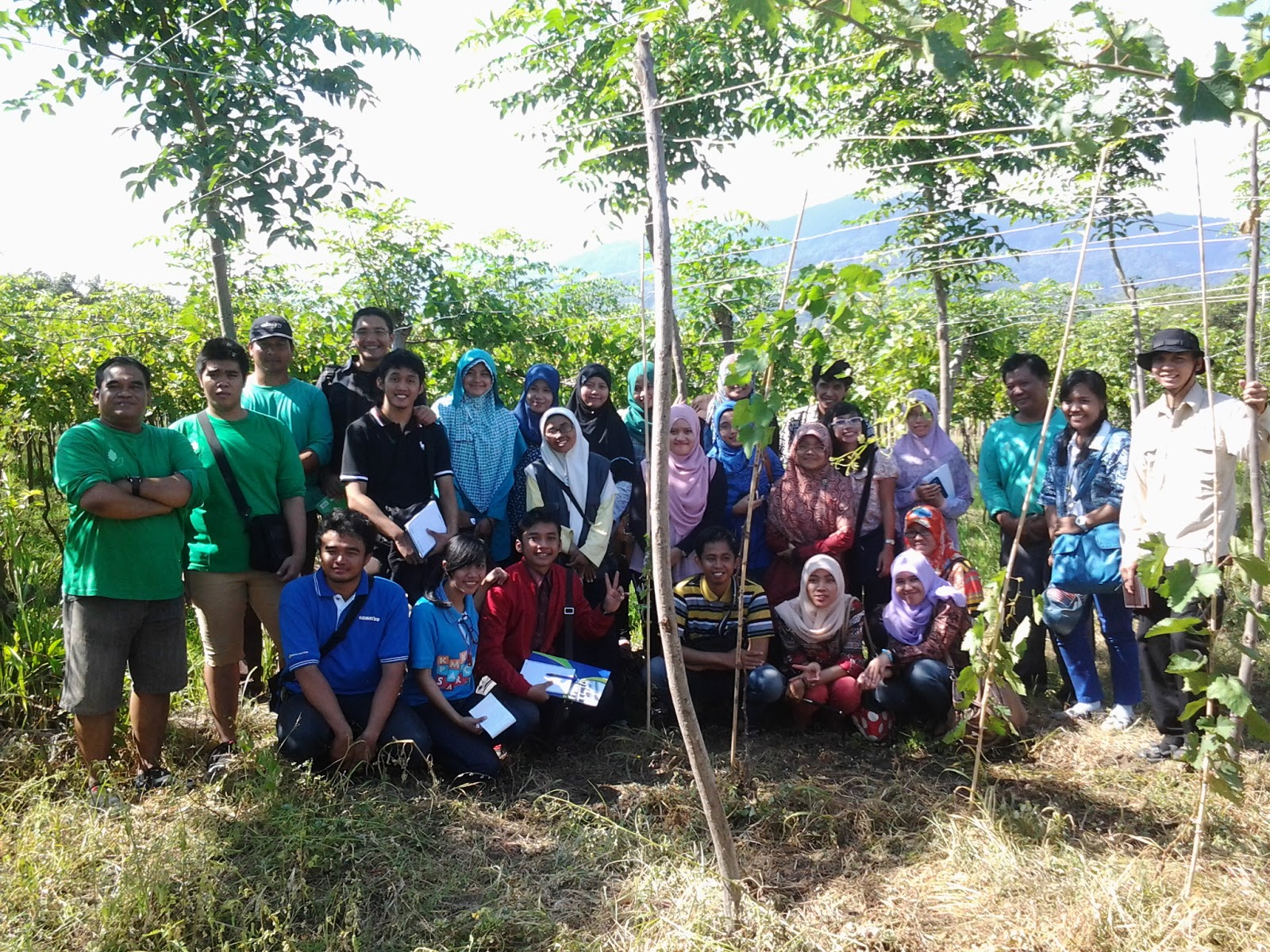 dengan sistem kemitraan dengan industri petani merasa lebih sejahtera terutama karena adanya kepastian pasar paska panen bimbingan teknologi budidaya