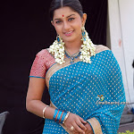 Beautiful Actress Meera Jasmine In Saree