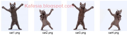 gambar-kucing-untuk-gif