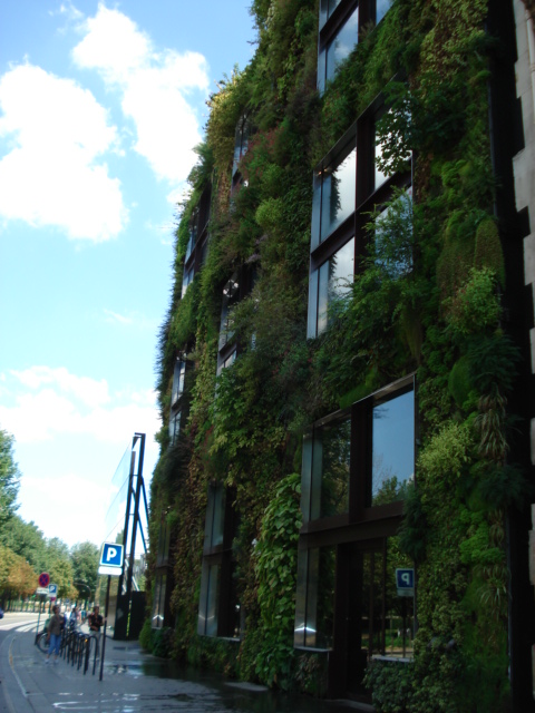 Go Green