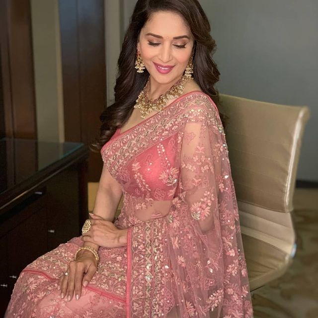 beautiful madhuri in saree