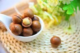 Macadamia nuts, with one cracked and exposing the nut , benefits of macadamia