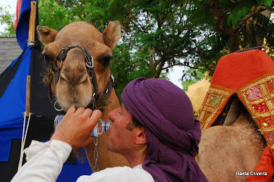 Feira Medieval de Silves, Verão 2010