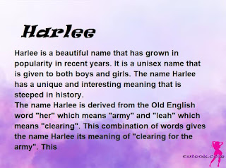 meaning of the name "Harlee"