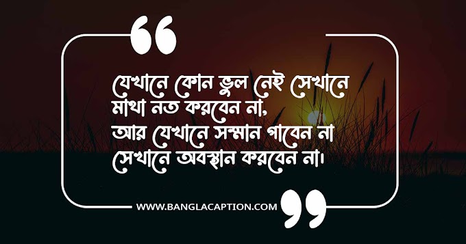 সম্মান নিয়ে উক্তি/Respect Quotes Bangla