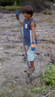 Digging holes for the Naupaka shrub plantings on Maui