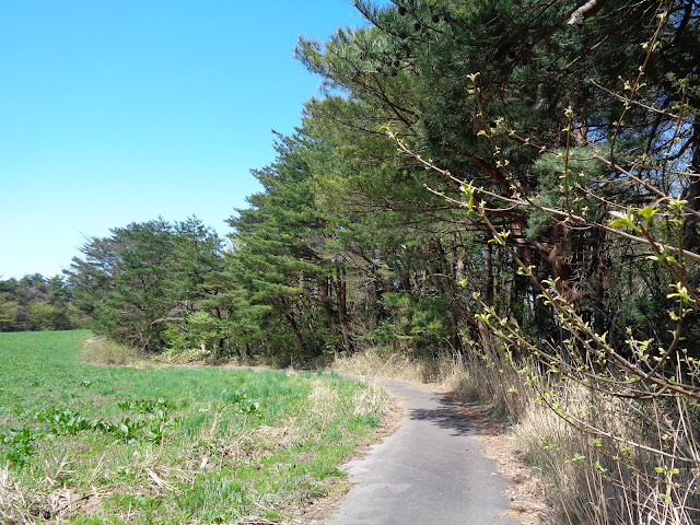 牧草地の道