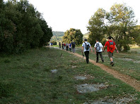 Camí de cinglera