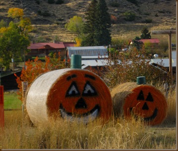 Davas Halloween decorations