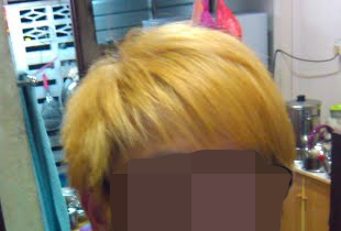 Cheapskate Citizen HAIR Levels  of Bleaching 