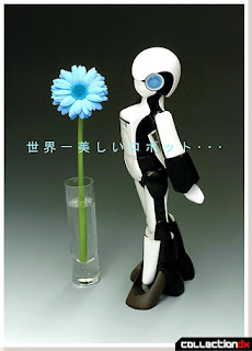 Female Type Robot