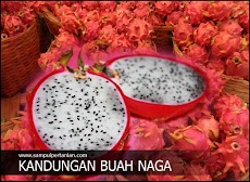 Kandungan Nutrisi dari Buah Naga