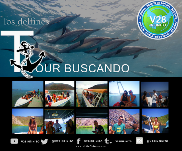 Mochima  Tour buscando los delfines 