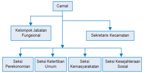 Sistem pemerintah kecamatan 