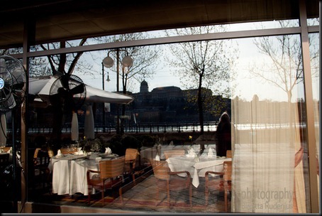 food_20120403_reflection