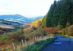 paddy slack view2