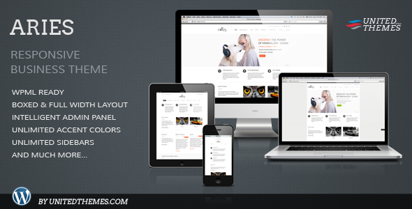 Passion Reloaded Responsive WordPress Theme - ThemeForest Item for Sale