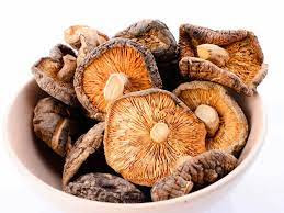 Dried Mushroom Supplier In Gangapur