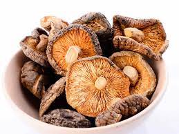 Dried Mushroom Supplier In Gangapur | Wholesale Dry Mushroom Supplier In Gangapur | Dry Mushroom Wholesalers In Gangapur