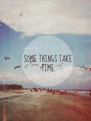 Frase "Some things take time" sobre una imagen con playa y gaviotas