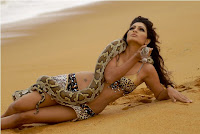 Lanka Girl With Python High Quality Photos