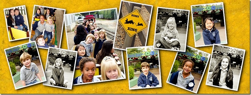 k-1 goes to zoo