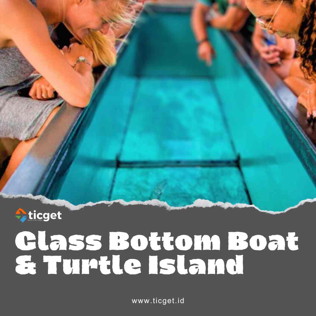 bali-glass-bottom-&-turtle-island-ticket