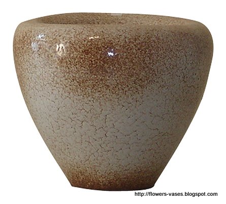 Flowers vases:vases-15784