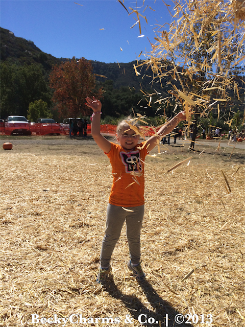 Pumpkin Hunting at Bates Nut Farm Pumpkin Patch 2013 | Valley Center, San Diego, CA by BeckyCharms