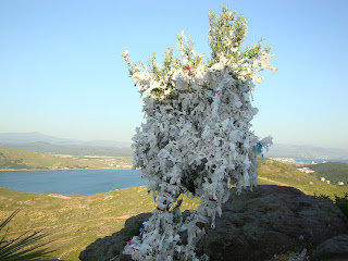 CUNDA, GEZİLECEK YERLER, SARIMSAKLI, AYVALIK, CUNDA, TEKNE GEZİSİ, TUR PARASI, BALIK RESTORAN, NEREDE KALINIR, PAPALİNA, ÇAMLIK, DEĞİRMEN, MANASTIR, KİLİSE, AŞIKLAR TEPESİ, TAKSİYARHİS KİLİSESİ, ORTUNÇ, TEMİZEL, KEYİFLİ BİR TATİL, MİDİLLİ