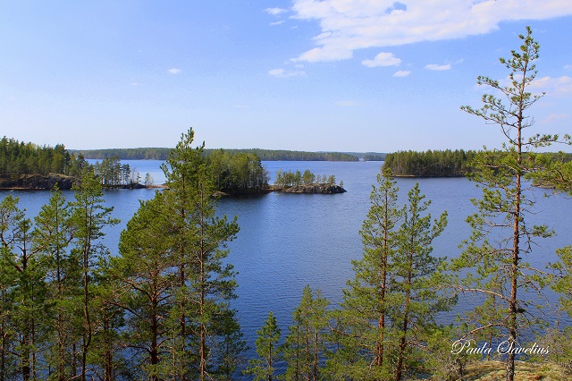 Norppapolun maisemaa Saimaalle
