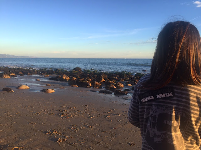 Butterfly-beach-santa-barbara-Rocket-Jo